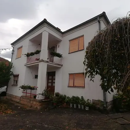 Kuca Za Odmor Marina Jelenkovic Lejlighed Knjazevac
