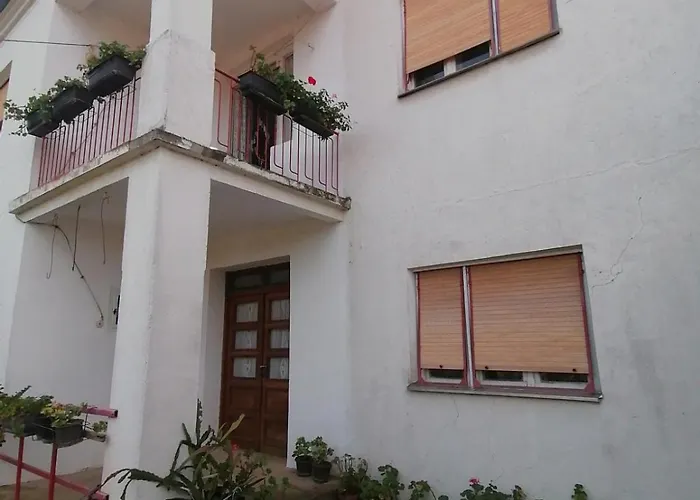 Kuca Za Odmor Marina Jelenkovic 아파트 Knjazevac